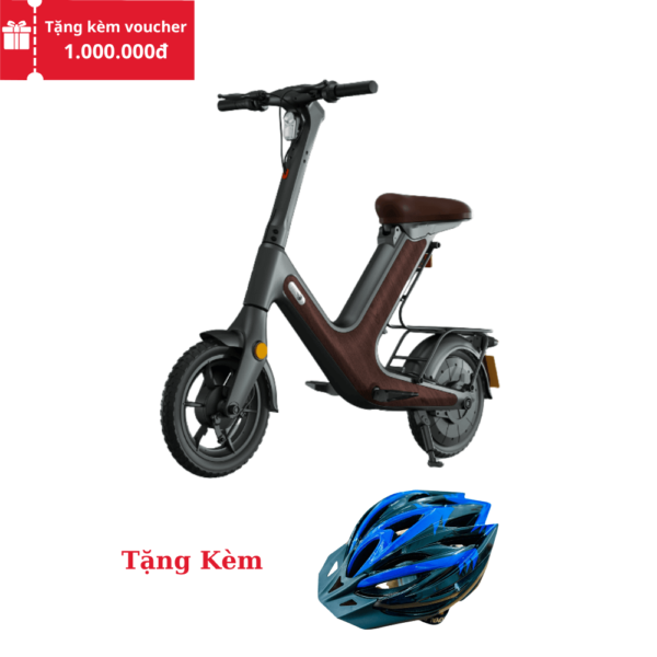 Xe Điện H&O D50