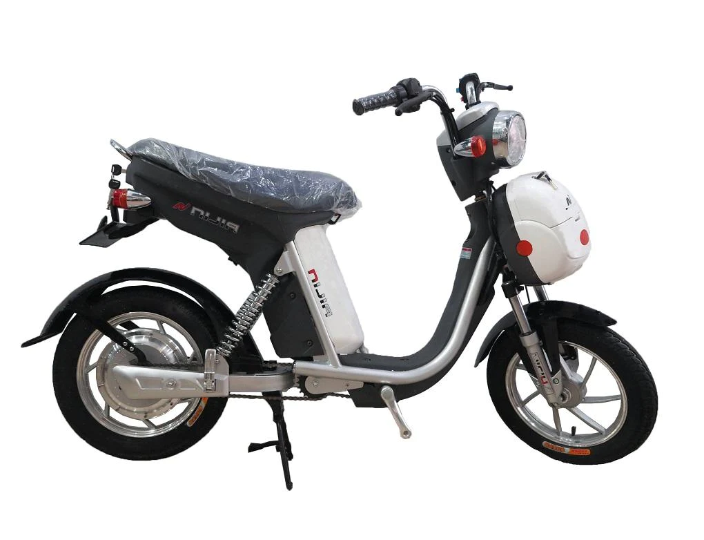 Xe đạp điện Dibao Ninja Eco