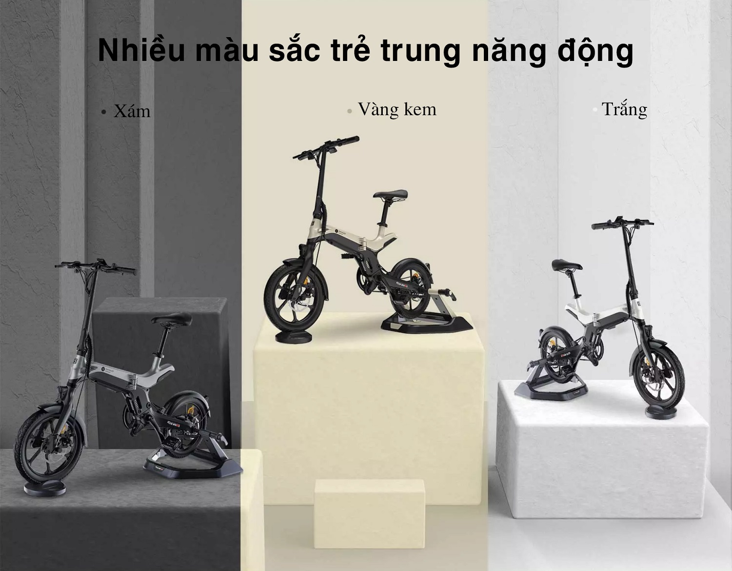 Nhiều màu sắc trẻ trung, năng động