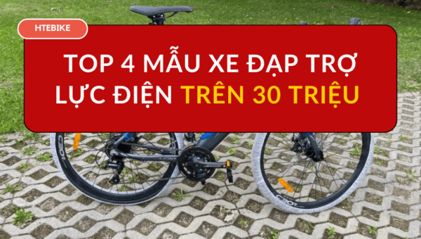 Top 4 mẫu xe đạp trợ lực điện trên 30 triệu đáng mua nhất