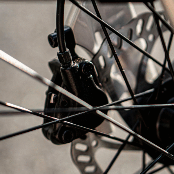 Xe Dap Tro Luc Dien EGO E28 HTebike 4