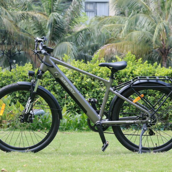 Xe Đạp Trợ Lực Điện Greway G26 7 IMG 9468